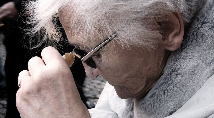 Alzheimeri tõbi hävitab ajurakud pöördumatult. Foto: Pixabay