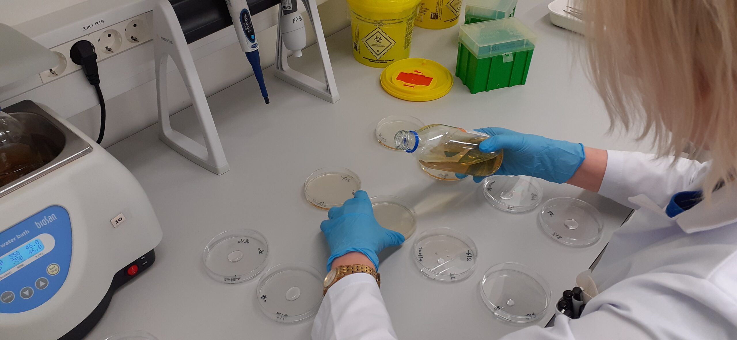 Terviseameti nakkushaiguste laboris teostatud Kuressaare kraanivee analüüsid. Foto: Terviseamet