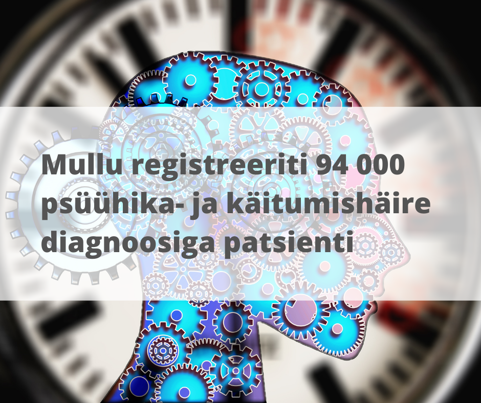 Mullu registreeriti 94 000 psüühika- ja käitumishäire diagnoosiga patsienti