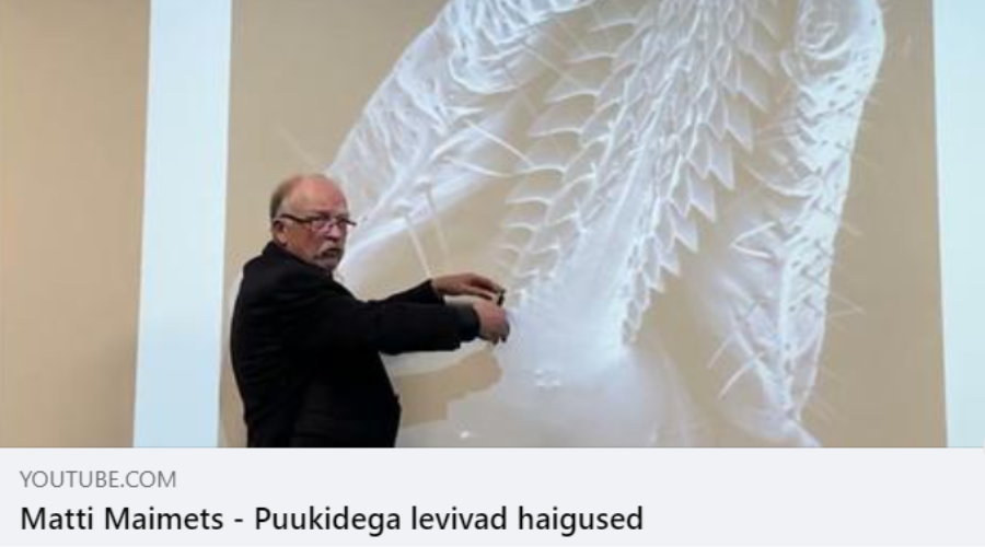 Kuressaare Haigla jagas dr Matti Maimetsa loengut puukidega levivatest haigustest. Kuvatõmmis Youtube video, Kuressaare Haigla