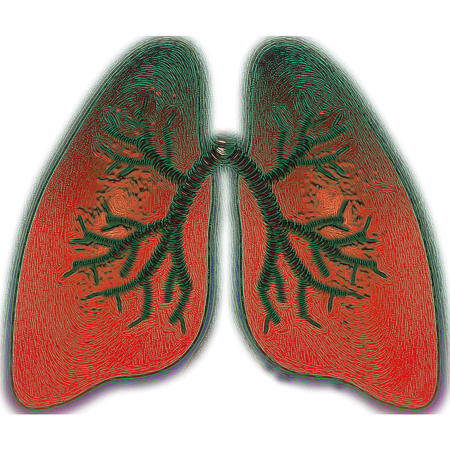 Astma. Foto: Pixabay
