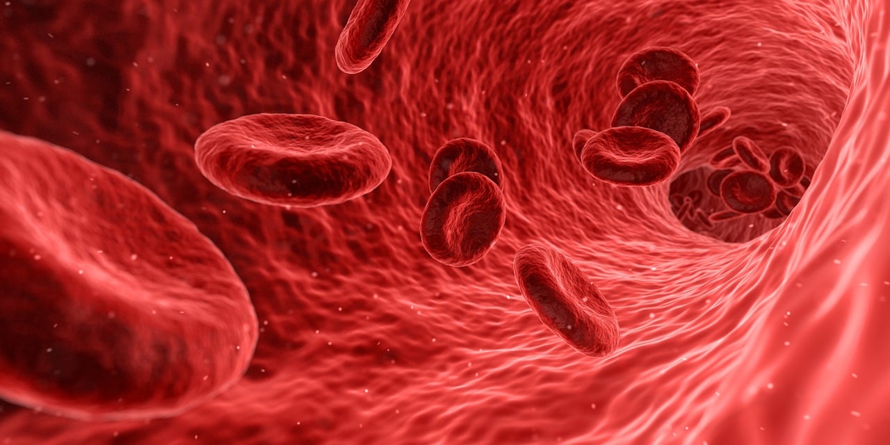 Verekomponendid on verest valmistatud preparaadid, mis sisaldavad üht või mitut vere koostisosa. Foto: Pixabay