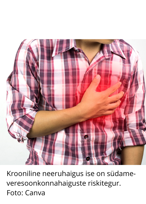 Krooniline neeruhaigus ise on südame-veresoonkonnahaiguste riskitegur. Foto: Canva