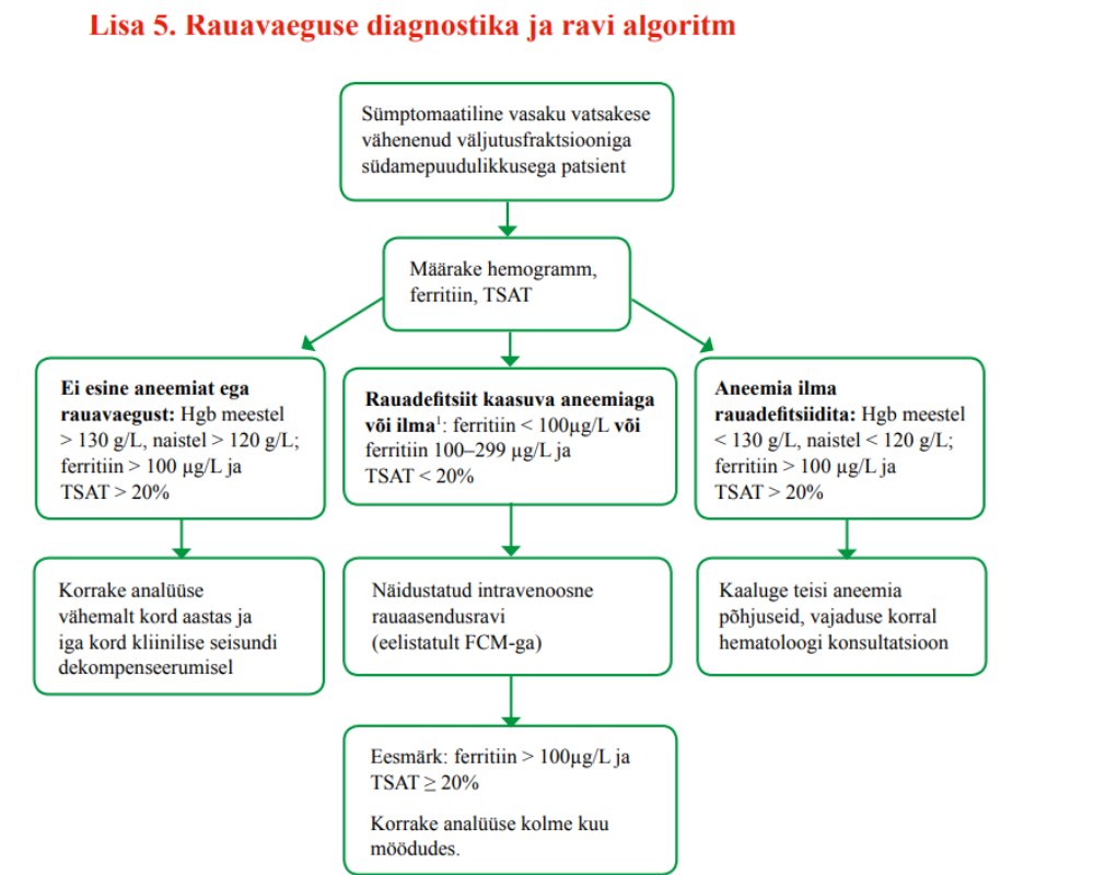 Lisa 5. Rauavaeguse diagnostika ja ravi algoritm